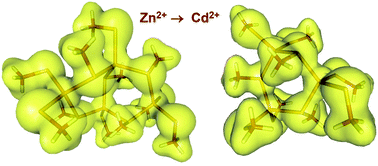 Graphical abstract: The building blocks of metallothioneins: heterometallic Zn2+ and Cd2+ clusters from first-principles calculations