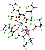 Graphical abstract: Structure and dynamics of binary and ternary lanthanide(iii) and actinide(iii) tris[4,4,4-trifluoro-1-(2-thienyl)-1,3-butanedione] (TTA) complexes. Part 2, the structure and dynamics of binary and ternary complexes in the Y(iii)/Eu(iii) –TTA – tributylphosphate (TBP) system in chloroform as studied by NMR spectroscopy