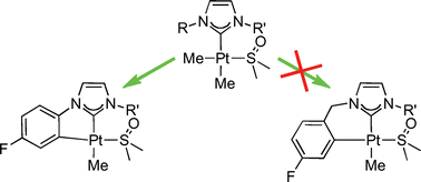 Graphical abstract: Platinum(ii) N-heterocyclic carbene complexes: coordination and cyclometallation.