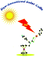 Graphical abstract: Efficient phenylmercury(ii) methylferrocenyldithiocarbamate functionalized dye-sensitized solar cells