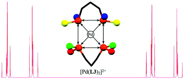 Graphical abstract: Structure elucidation of the unprecedented asymmetric bis-chelate complex [Pd(1,3-bis(di(o-methoxy-m-methylphenyl)phosphino)propane)2]2+ in the solid state and in solution