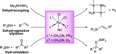 Graphical abstract: Probing the catalytic potential of chloro nitrosyl rhenium(i) complexes