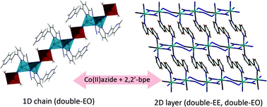 Graphical abstract: Structural diversity and magnetic properties in 1D and 2D azido-bridged cobalt(ii) complexes with 1,2-bis(2-pyridyl)ethylene