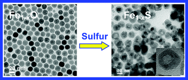 Graphical abstract: Sulfidation of rock-salt-type transition metal oxide nanoparticles as an example of a solid state reaction in colloidal nanoparticles