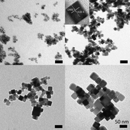 Graphical abstract: Controlled synthesis of Co3O4 nanocubes under external magnetic fields and their magnetic properties