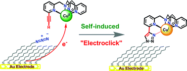Graphical abstract: Self-induced “electroclick” immobilization of a copper complex onto self-assembled monolayers on a gold electrode