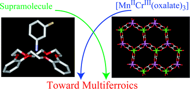 Graphical abstract: Supramolecular cations of the m-fluoroanilinium(dibenzo[18]crown-6) in ferromagnetic salt