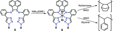 Graphical abstract: New tetradentate N,N,N,N-chelating α-diimine ligands and their corresponding zinc and nickel complexes: synthesis, characterisation and testing as olefin polymerisation catalysts