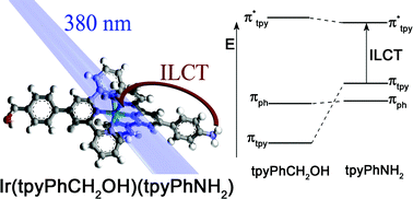 Graphical abstract: Photophysical properties of a new series of water soluble iridium bisterpyridine complexes functionalised at the 4′ position