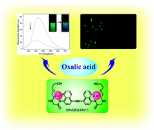 Graphical abstract: A ratiometric fluorescent probe for oxalate based on alkyne-conjugated carboxamidoquinolines in aqueous solution and imaging in living cells