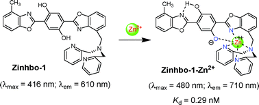 Graphical abstract: Zn2+-triggered excited-state intramolecular proton transfer: a sensitive probe with near-infrared emission from bis(benzoxazole) derivative