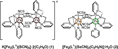 Graphical abstract: Two dinuclear iron(ii) complexes K[Fe2(L1)(SCN)4]·2(C3H8O) and [Fe2(L1)(SeCN)3(C5H5N)]·H2O are stabilised in the ‘[HS–LS]’ state by a bis-tetradentate pyrazolate-based ligand