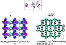 Graphical abstract: Two new 1,2,4,5-cyclohexanetetracarboxylate-bridged frameworks with metal hydroxide subunits. Synthesis, structures, magnetism and adsorption
