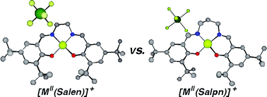 Graphical abstract: Influence of the chelate effect on the electronic structure of one-electron oxidized group 10 metal(ii)-(disalicylidene)diamine complexes