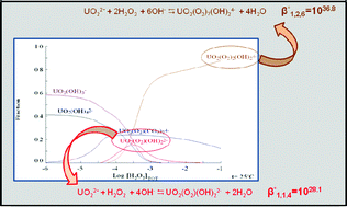 Graphical abstract: Determination of the equilibrium formation constants of two U(vi)–peroxide complexes at alkaline pH