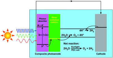 Graphical abstract: Composite photoanodes for photoelectrochemical solar water splitting