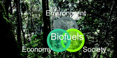 Graphical abstract: Multiple objectives in biofuels sustainability policy