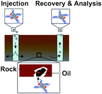 Graphical abstract: Engineered nanoparticles for hydrocarbon detection in oil-field rocks