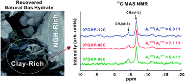 Graphical abstract: Abnormal methane occupancy of natural gas hydrates in deep sea floor sediments