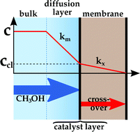 Graphical abstract: Simple and reliable model for estimation of methanol cross-over in direct methanol fuel cells and its application on methanol-concentration control