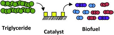 Graphical abstract: Catalytic cracking of edible and non-edible oils for the production of biofuels