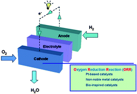 Graphical abstract: Low-platinum and platinum-free catalysts for the oxygen reduction reaction at fuel cell cathodes