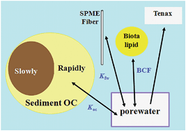 Graphical abstract: Chemical techniques for assessing bioavailability of sediment-associated contaminants: SPMEversusTenax extraction