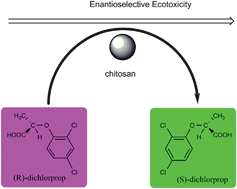Graphical abstract: Enantioselective ecotoxicity of the herbicide dichlorprop and complexes formed with chitosan in two fresh water green algae