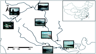 Graphical abstract: Occurrence of selected antibiotics in Jiulongjiang River in various seasons, South China