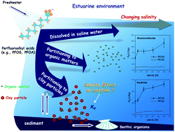 Graphical abstract: Effects of salinity and organic matter on the partitioning of perfluoroalkyl acid (PFAs) to clay particles