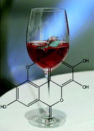 Graphical abstract: Red wine: A source of potent ligands for peroxisome proliferator-activated receptor γ