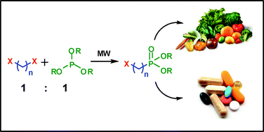 Graphical abstract: Efficient and ‘green’ microwave-assisted synthesis of haloalkylphosphonates via the Michaelis–Arbuzov reaction