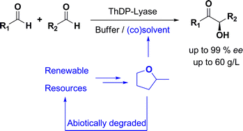 Graphical abstract: Enzyme-catalyzed C–C bond formation using 2-methyltetrahydrofuran (2-MTHF) as (co)solvent: efficient and bio-based alternative to DMSO and MTBE
