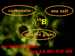 Graphical abstract: Boron isotope ratio determination in carbonates via LA-MC-ICP-MS using soda-lime glass standards as reference material