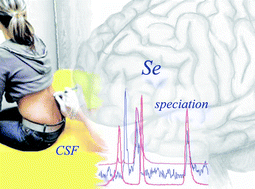 Graphical abstract: Contribution to selenium speciation in cerebrospinal fluid samples