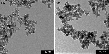 Graphical abstract: Real-time monitoring of the evolution of magnetism during precipitation of superparamagnetic nanoparticles for bioscience applications