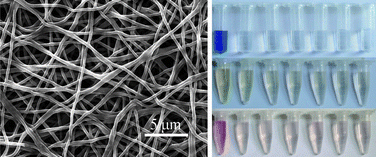 Graphical abstract: Fabrication of multiwalled carbon nanotube-reinforced electrospun polymer nanofibers containing zero-valent iron nanoparticles for environmental applications