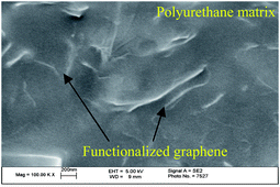 Graphical abstract: Recent advance in functionalized graphene/polymer nanocomposites