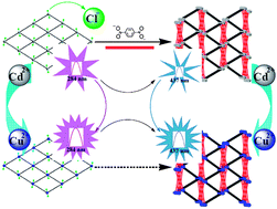 Graphical abstract: Structure extending and cation exchange of Cd(ii) and Co(ii) materials compounds inducing fluorescence signal mutation