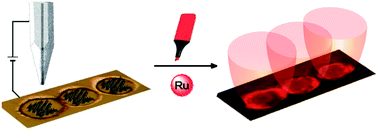 Graphical abstract: Microdrawing and highlighting a reactive surface