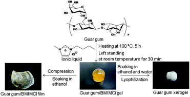 Graphical abstract: Preparation of guar gum-based functional materials using ionic liquid