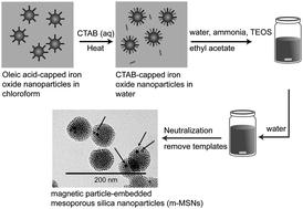 Graphical abstract: Ordered mesoporous silica nanoparticles with and without embedded iron oxide nanoparticles: structure evolution during synthesis