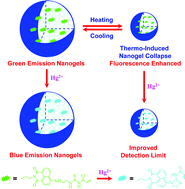 Graphical abstract: Responsive nanogel-based dual fluorescent sensors for temperature and Hg2+ ions with enhanced detection sensitivity