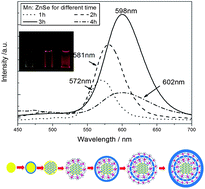 Graphical abstract: Aqueous synthesis of color-tunable and stable Mn2+-doped ZnSe quantum dots