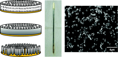 Graphical abstract: Fabrication and characterization of electrodeposited antimony telluride crystalline nanowires and nanotubes