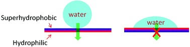 Graphical abstract: Directional water-transfer through fabrics induced by asymmetric wettability