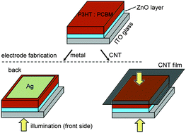 Graphical abstract: Infrared-transparent polymer solar cells