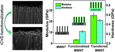 Graphical abstract: Solvent-free functionalization and transfer of aligned carbon nanotubes with vapor-deposited polymer nanocoatings