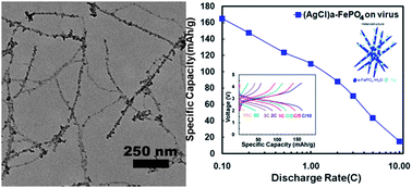 Graphical abstract: Nanostructure design of amorphous FePO4 facilitated by a virus for 3 V lithium ion battery cathodes