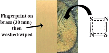 Graphical abstract: Polymerisation of S2N2 to (SN)x as a tool for the rapid imaging of fingerprints removed from metal surfaces